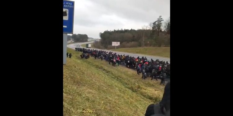 Imigranci w olbrzymiej kolumnie ruszyli na Polskę! „Będzie próba siłowego przejścia” [WIDEO]