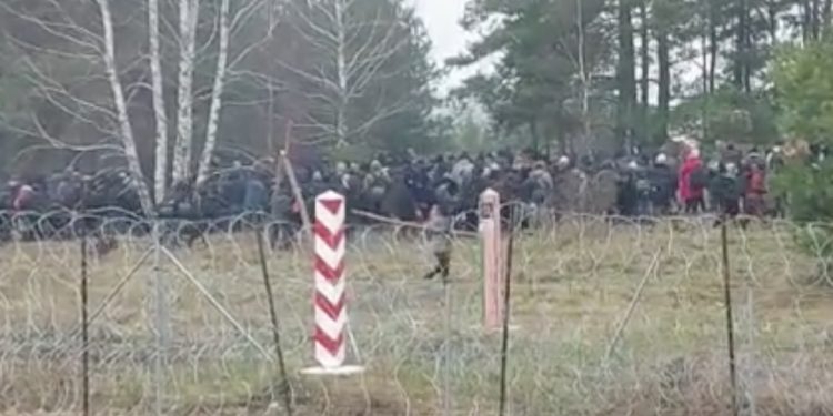 migranci opuszczaja granice