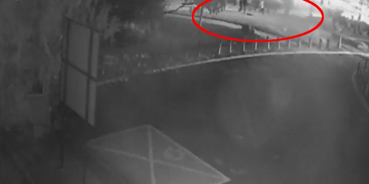 Pobicie Włochów. Policja opublikowała nagranie rzucające inne światło na sprawę [WIDEO]