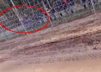Strzały na granicy. Nagranie potwierdza, że Białorusini strzelają przy imigrantach [WIDEO]