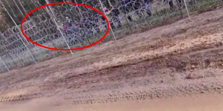 Strzały na granicy. Nagranie potwierdza, że Białorusini strzelają przy imigrantach [WIDEO]