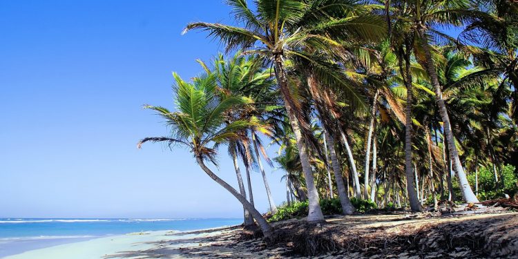 Polscy turyści zaatakowani na Dominikanie. „Próbował zgwałcić narzeczoną, ranił mnie maczetą”