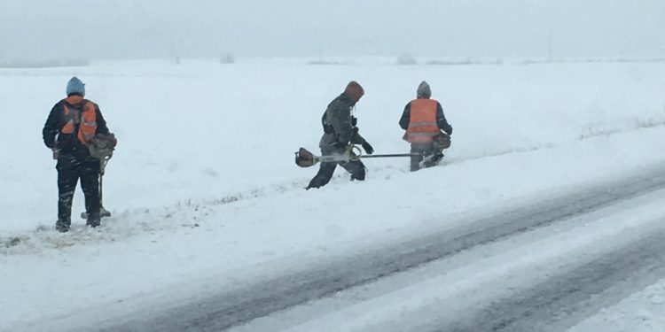 Drogowcy kosili trawę w… śniegu. Będą kary umowne [FOTO]
