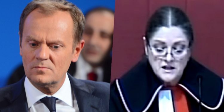 pawłowicz i tusk