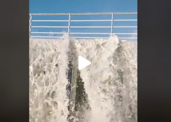 Tak zareagowali na sztorm. Nagranie z Kołobrzegu hitem sieci [WIDEO]