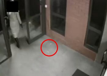 Wkładała haczyki do parówek i rozrzucała dla psów. Usłyszała zarzut