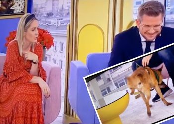 Wpadka w „Dzień Dobry TVN”. Ohme: „Tutaj nie znaczymy terenu” [WIDEO]