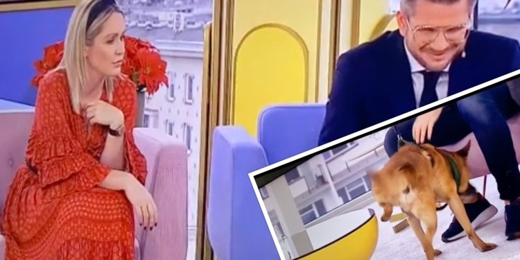 Wpadka w „Dzień Dobry TVN”. Ohme: „Tutaj nie znaczymy terenu” [WIDEO]