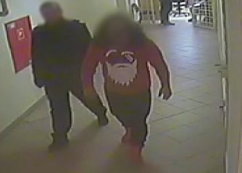 Nakłaniali starsze osoby do przepisywania mieszkań. Później dochodziło do makabry