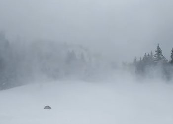 Potężna lawina zeszła na Morskie Oko! „Za dnia doszłoby do tragedii” [WIDEO]