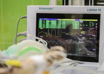 dobry cholesterol ekg
