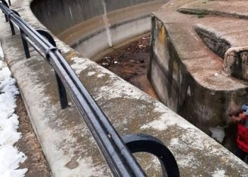 Wpadł na wybieg niedźwiedzia w Warszawie! Wzywał pomocy