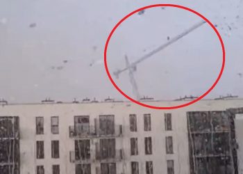 żuraw przewrócił się