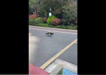 Chiny. Roboty patrolują ulice podczas lockdownu z powodu Covid-19 [WIDEO]
