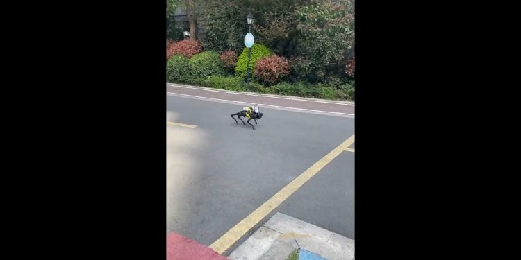Chiny. Roboty patrolują ulice podczas lockdownu z powodu Covid-19 [WIDEO]