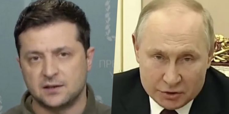 putin i zełenski