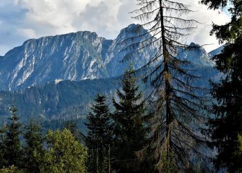 Turysta zginął na Giewoncie. Straszna śmierć kilka metrów od słynnego krzyża
