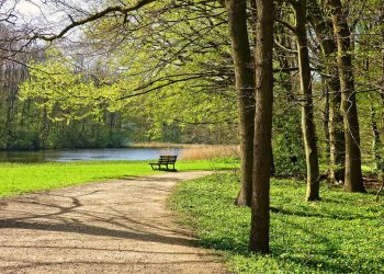 Miłosne uciechy na ławce. Wszystko nagrał zbulwersowany świadek