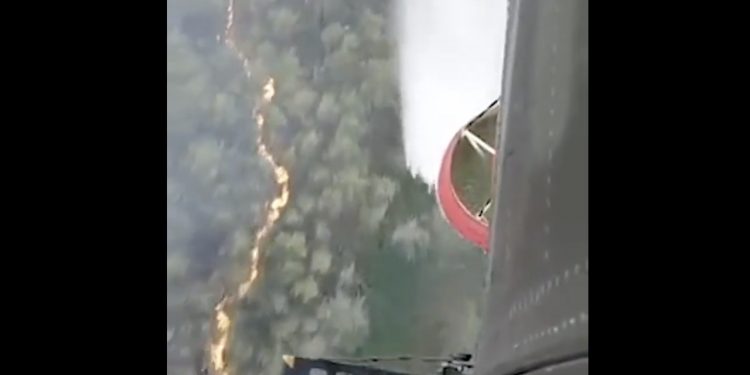 Gigantyczne pożary pod Berlinem. Problemem okazują się… niewybuchy [WIDEO]