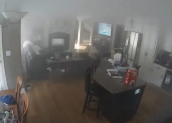 Pożar zniszczył kuchnię. Kamera przyłapała niezwykłego podpalacza [WIDEO]