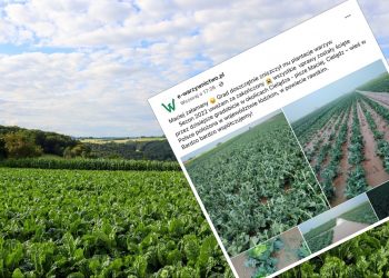 W kilka minut rolnik stracił dorobek całego sezonu. Pokazano zdjęcia [FOTO]