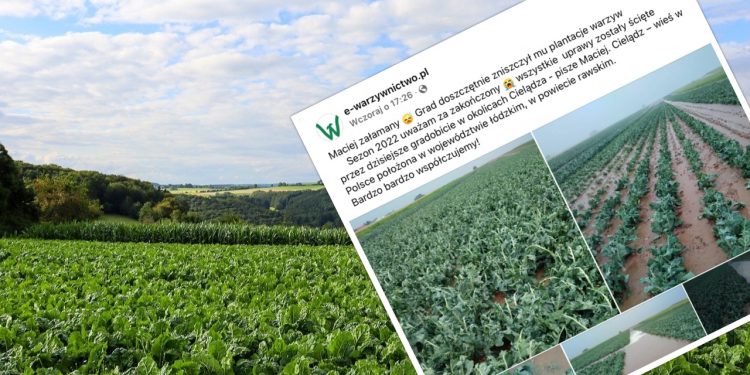 W kilka minut rolnik stracił dorobek całego sezonu. Pokazano zdjęcia [FOTO]