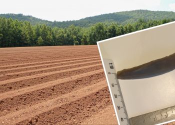 Niezwykłe znalezisko na polu. Okazało się, że to cenny zabytek [FOTO]