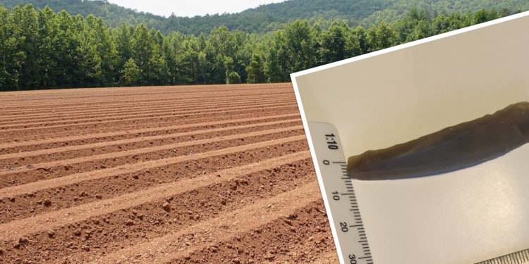 Niezwykłe znalezisko na polu. Okazało się, że to cenny zabytek [FOTO]