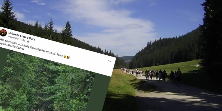 Nietypowe zdjęcie z Doliny Kościeliskiej. Tłum turystów i… mały niedźwiadek