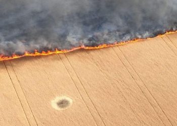 Rosjanie podpalili pola ze zbożem. „Zapamiętaj ten obraz”