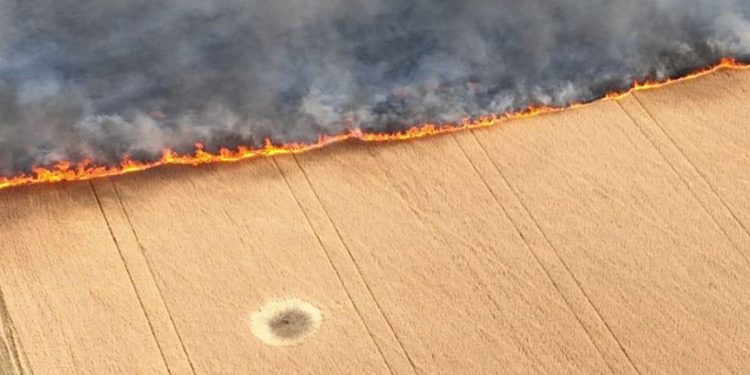 Rosjanie podpalili pola ze zbożem. „Zapamiętaj ten obraz”