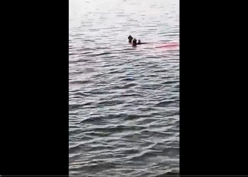 Rekin zaatakował w pobliżu słynnego kurortu! Straciła rękę i nogę. Nie przeżyła [WIDEO]