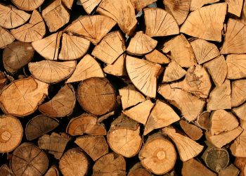 Niemcy wpadli w panikę. Wykupują ze sklepów drewno