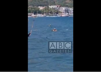 Mopem odgonił rekina? W sieci pojawiło się nagranie [WIDEO]