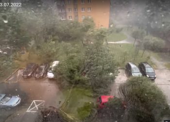 Wiatr wyrwał drzewo. Sekundy po odjechaniu samochodu! [WIDEO]