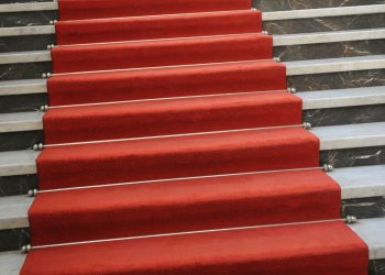 Najpopularniejsze gwiazdy w 2022 roku