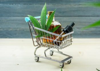 W jakiej cenie można kupić medyczną marihuanę w Polsce?