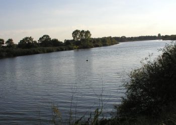 Niepokojące słowa eksperta o zatrutej Odrze. „To raczej celowe zanieczyszczenie”