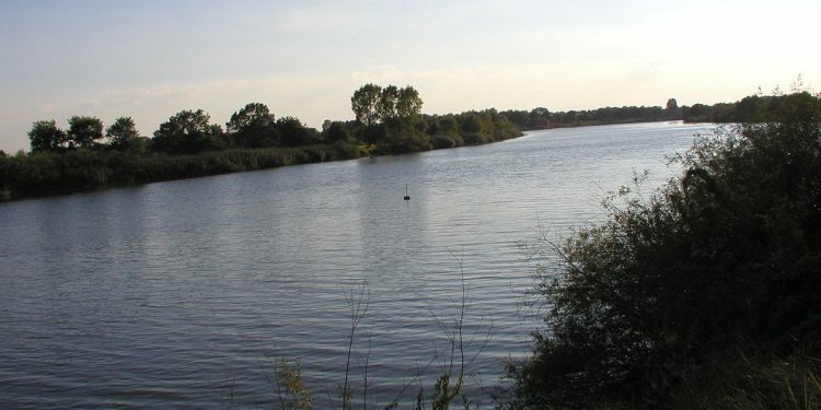 Niepokojące słowa eksperta o zatrutej Odrze. „To raczej celowe zanieczyszczenie”