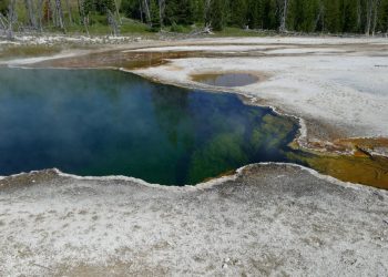 Ludzka stopa w gorącym źródle. Makabryczne odkrycie w Yellowstone