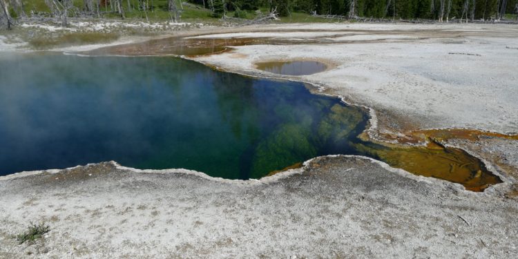 Ludzka stopa w gorącym źródle. Makabryczne odkrycie w Yellowstone