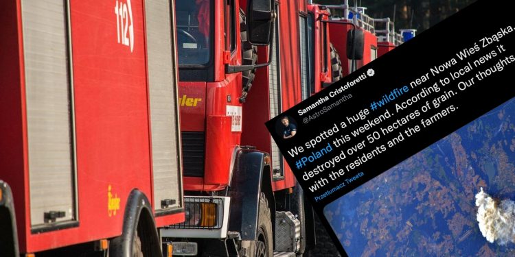 Ogromny pożar w Polsce był widoczny z kosmosu! Astronautka pokazała zdjęcie