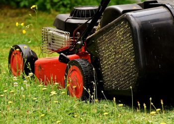 Przeszkadzało mu koszenie trawy, więc… zaczął strzelać do sąsiada