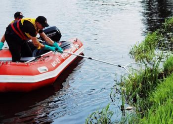 Wiadomo, dlaczego śnięte ryby pojawiły się w Nerze! Wyniki badań nie zostawiają złudzeń