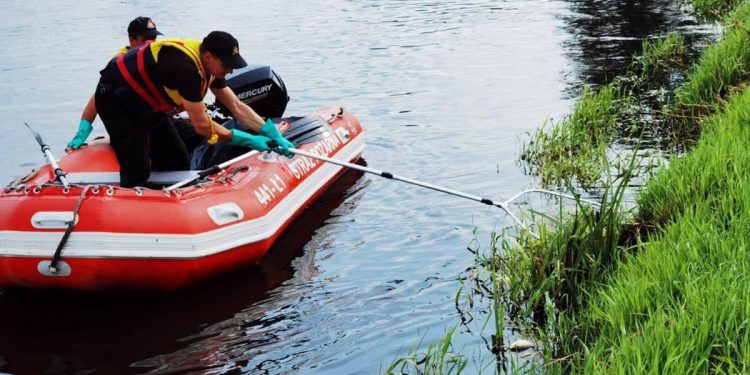 Wiadomo, dlaczego śnięte ryby pojawiły się w Nerze! Wyniki badań nie zostawiają złudzeń