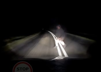 Oto, co kierowca zobaczył na drodze. Policjanci przyznali, że bez nagrania nie uwierzyliby [WIDEO]