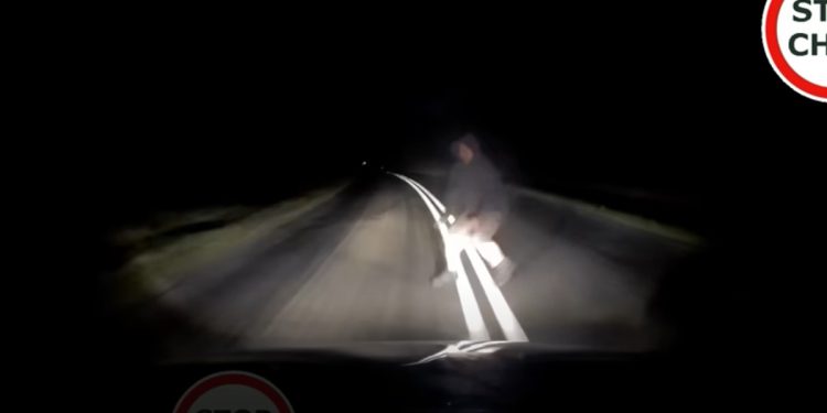 Oto, co kierowca zobaczył na drodze. Policjanci przyznali, że bez nagrania nie uwierzyliby [WIDEO]