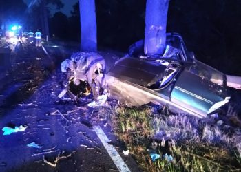 Koszmarny wypadek w Żabczynie. Auto owinęło się wokół drzewa