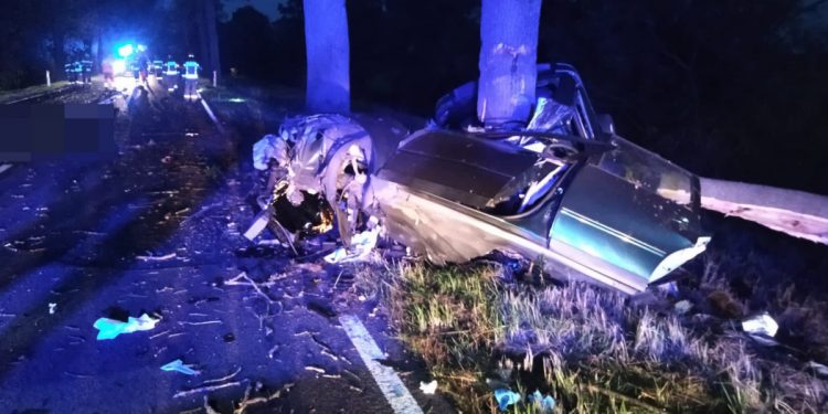 Koszmarny wypadek w Żabczynie. Auto owinęło się wokół drzewa