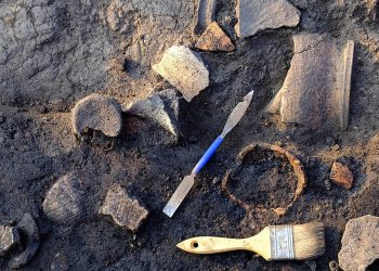 Gigantka mieszkała w średniowiecznej osadzie w Polsce! Naukowcy nie mają wątpliwości